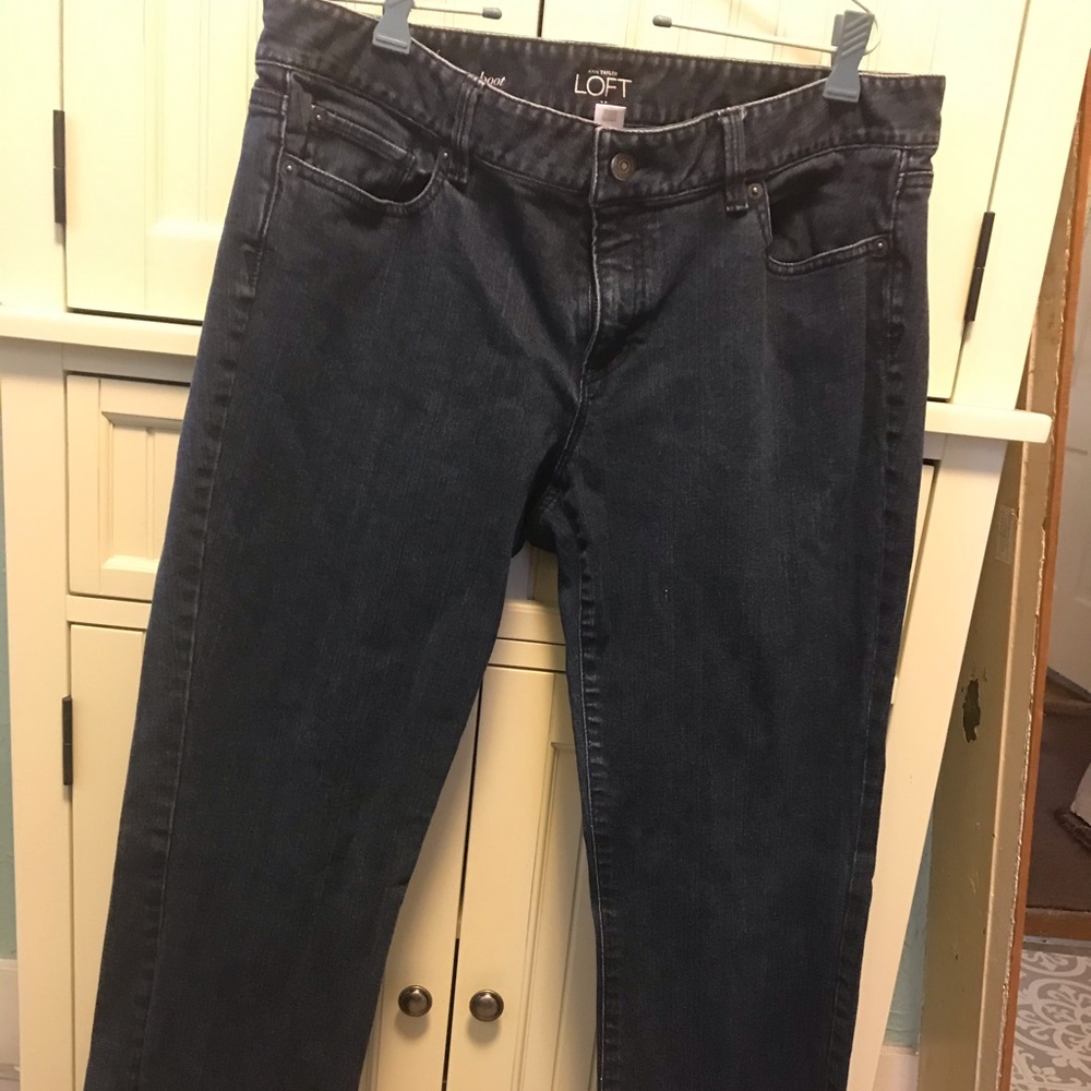 Ann Taylor Loft Curvy Boot Jeans